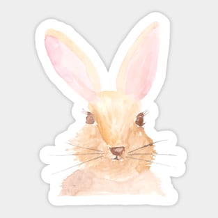Watercolor Bunny Rabbit - Taye Sticker